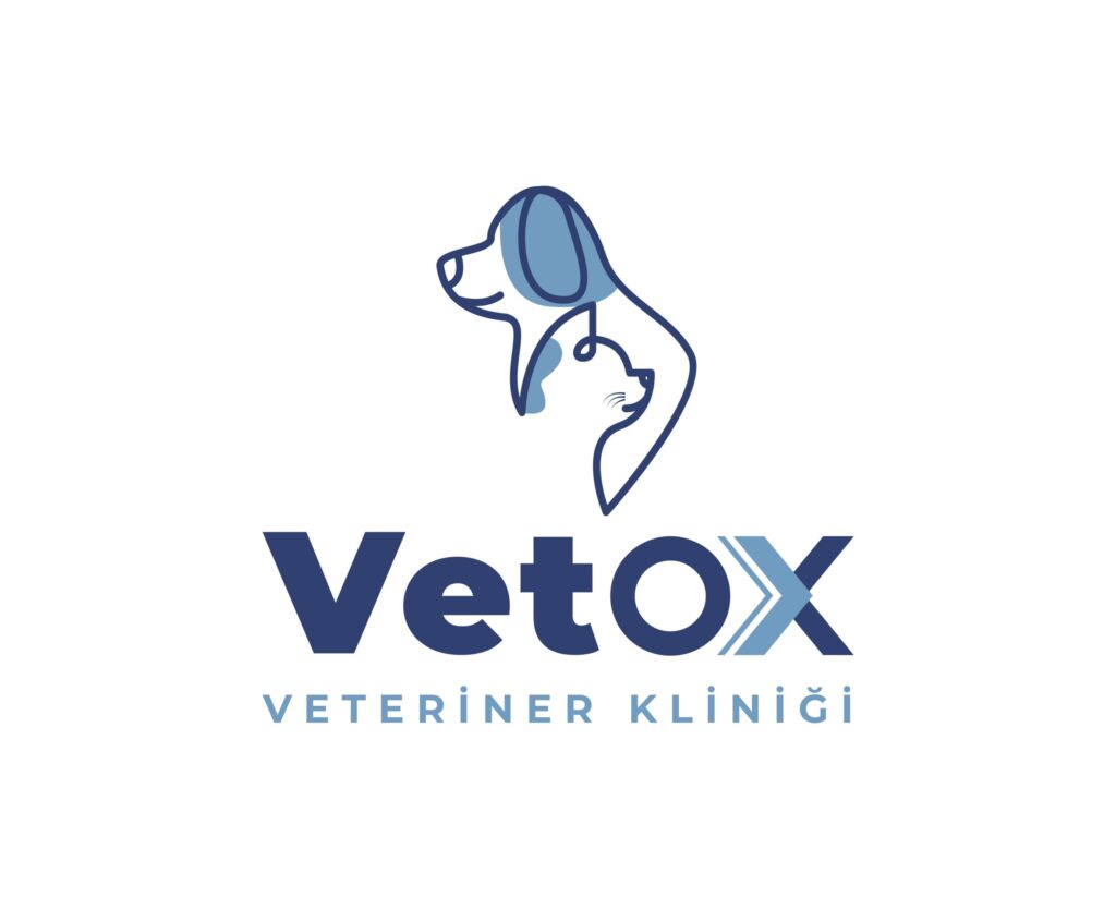 Veteriner kliniği web sitesi çalışması, Hakkı Can Demir referanslar sayfasından
